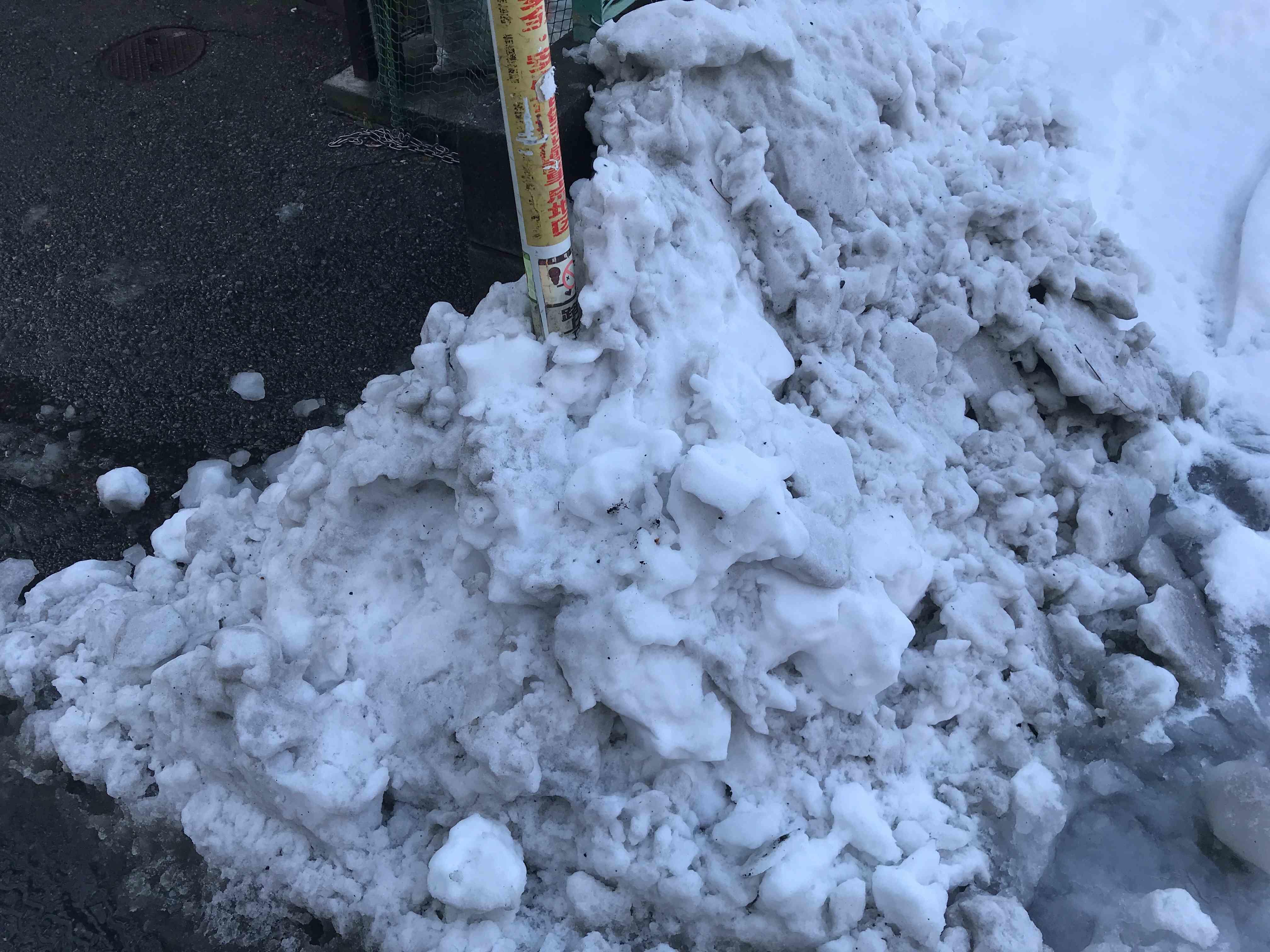都心部の雪 前回の雪をおさらい 暮らしっく不動産 都心部の雪 前回の雪をおさらい 暮らしっく不動産