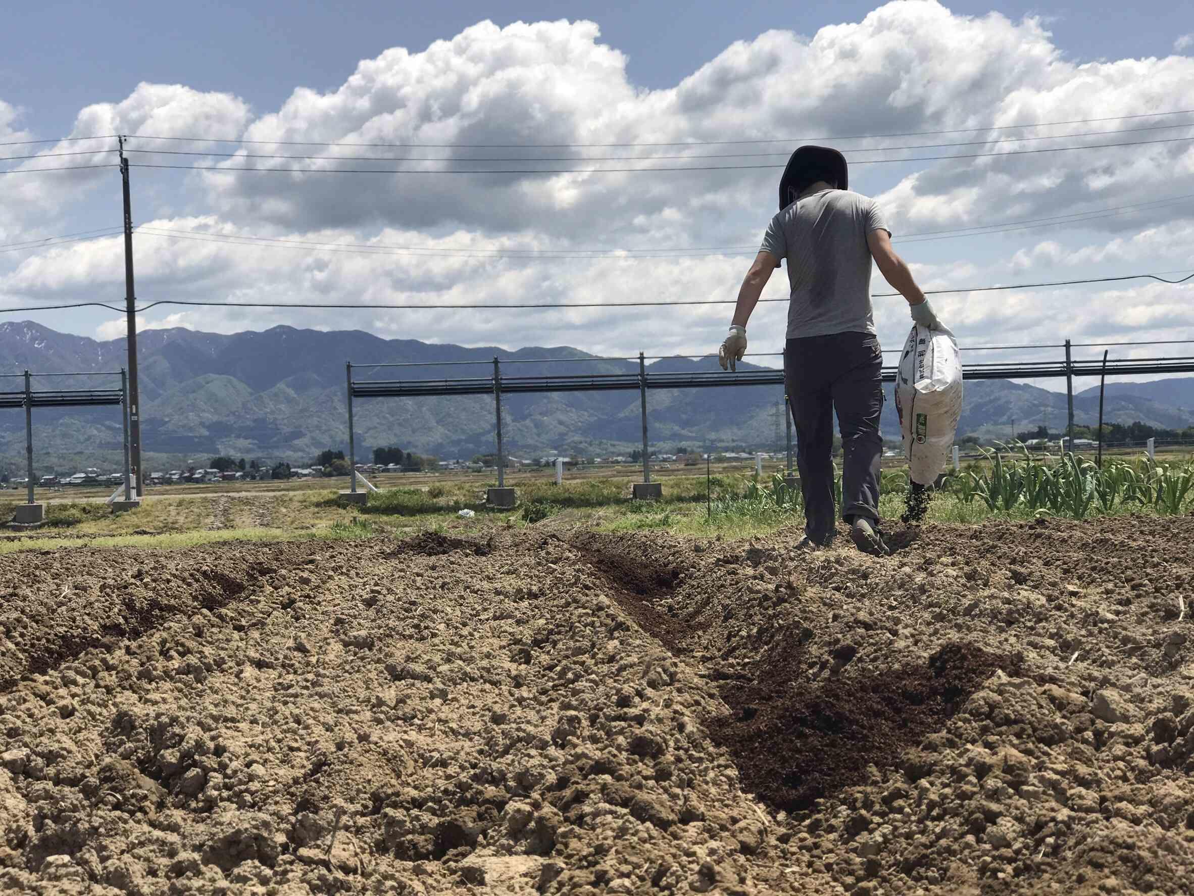 畑はじめました 自然農法でジャガイモにチャレンジ 暮らしっく不動産