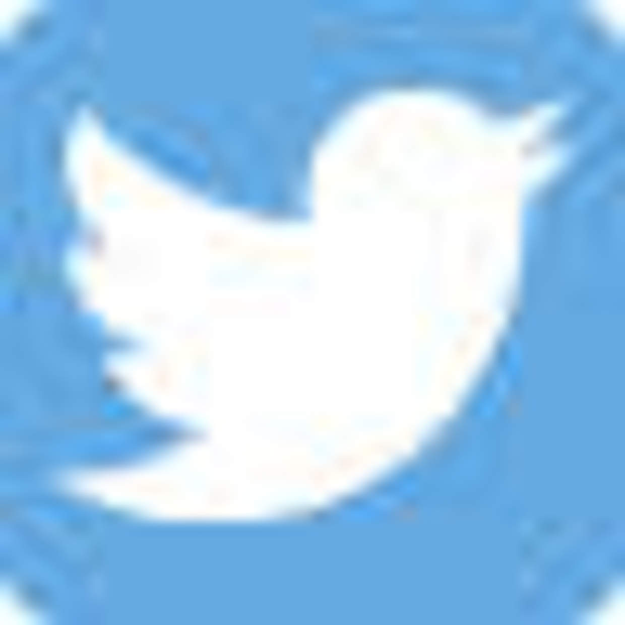 Twitter blue bird